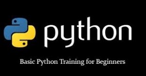 Python training in Chennai